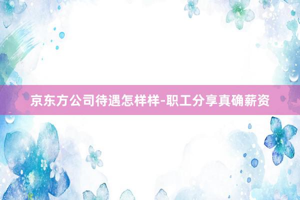 京东方公司待遇怎样样-职工分享真确薪资